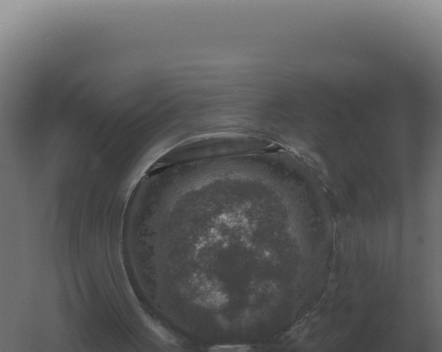 X0000061150051200511241842