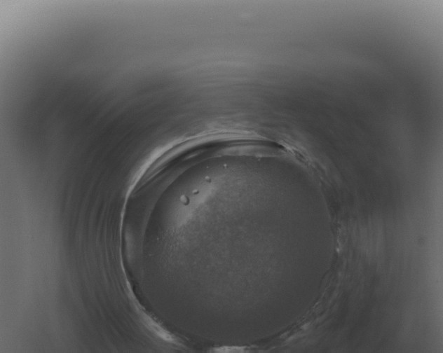 X0000061150052200511241842