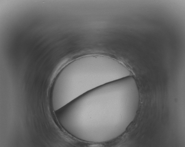 X0000061150053200511241842