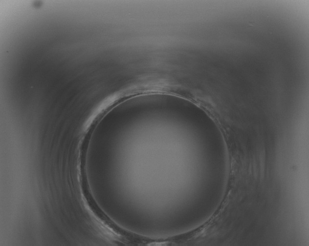 X0000061150054200511241842