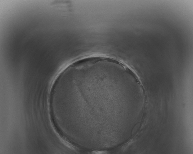 X0000061150055200511241842