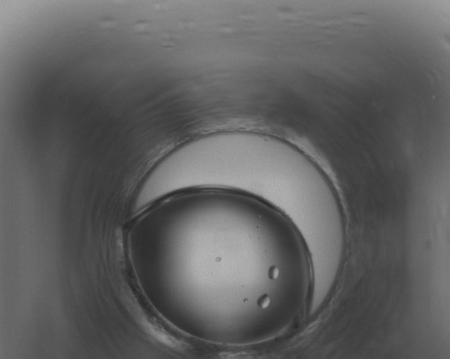 X0000061150057200511241842