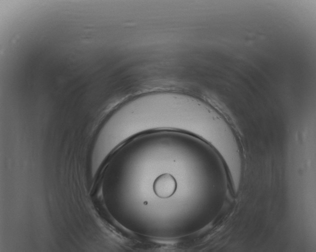 X0000061150058200511241842