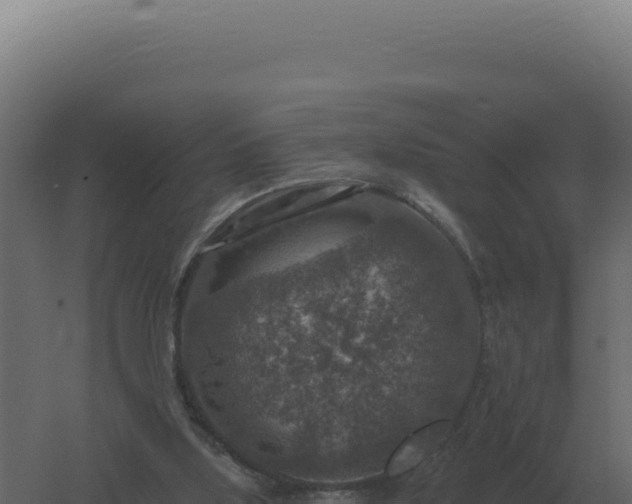 X0000061150059200511241842