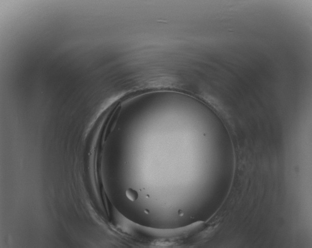 X0000061150060200511241842