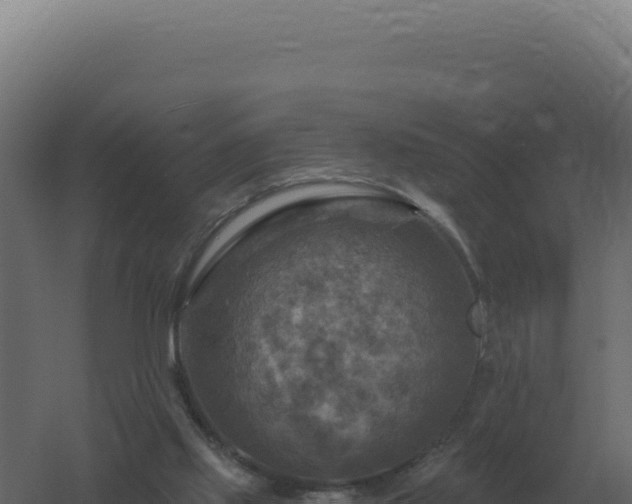 X0000061150061200511241842