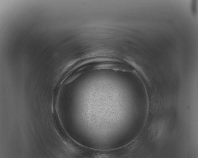 X0000061150062200511241842