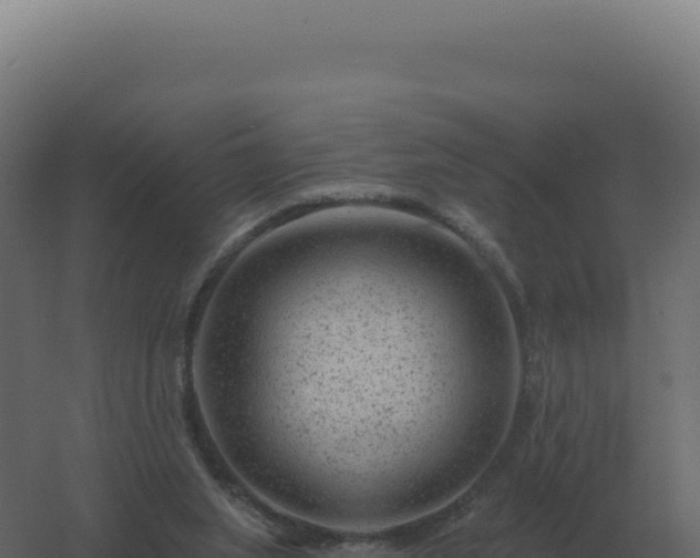 X0000061150063200511241842