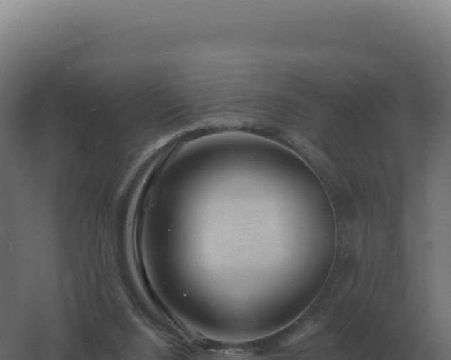 X0000061150064200511241842