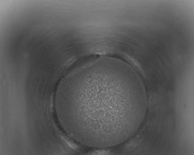 X0000061150065200511241842