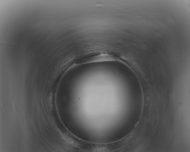 X0000061150066200511241842