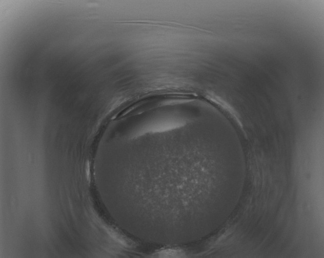 X0000061150067200511241842