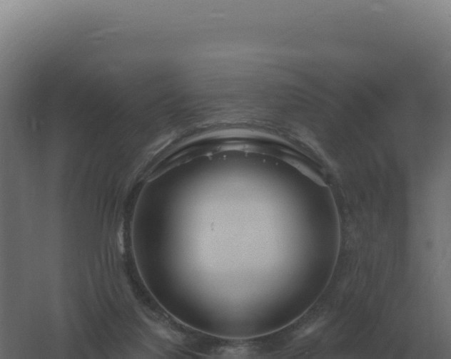 X0000061150068200511241842