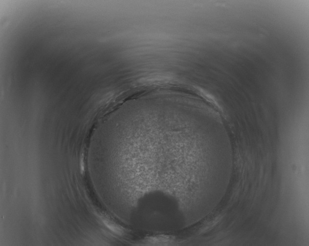 X0000061150069200511241842