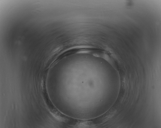 X0000061150072200511241842