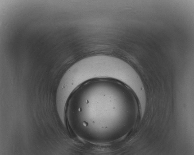 X0000061150073200511241842