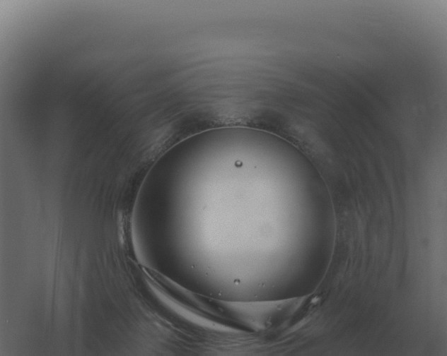 X0000061150075200511241842