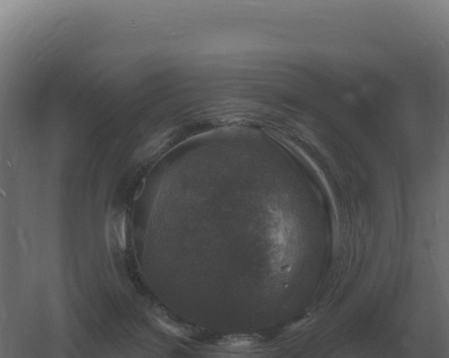 X0000061150076200511241842