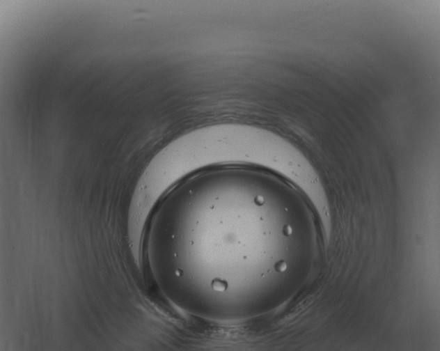 X0000061150077200511241842