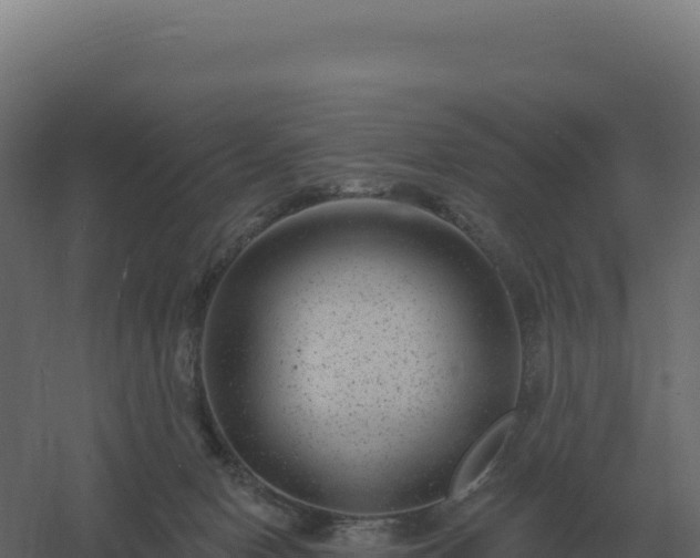 X0000061150078200511241842