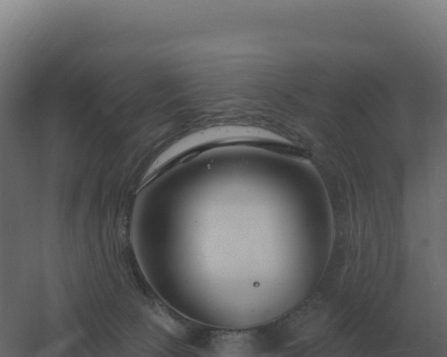 X0000061150081200511241842