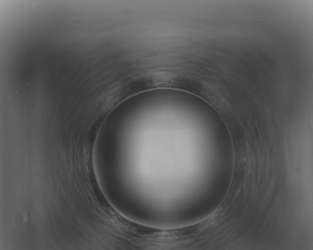 X0000061150082200511241842