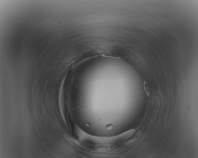 X0000061150084200511241842