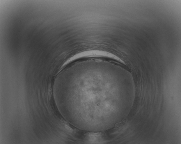 X0000061150085200511241842