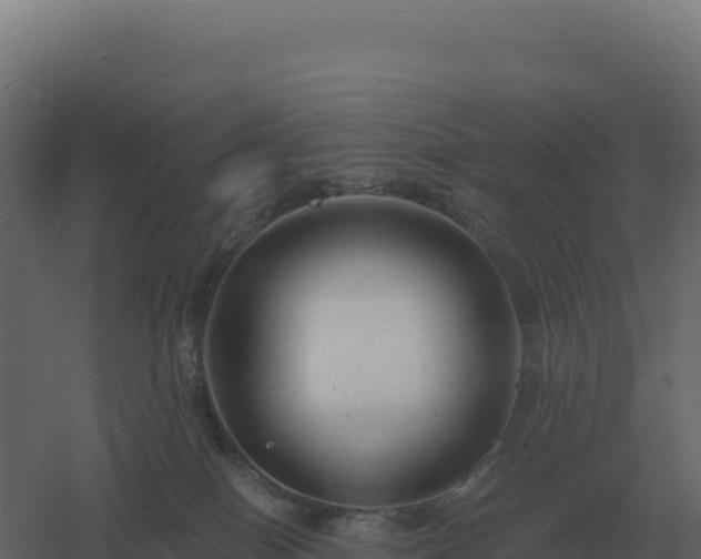 X0000061150086200511241842