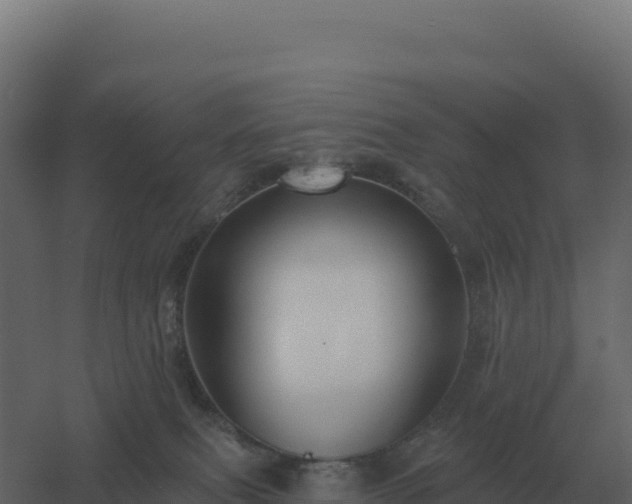 X0000061150087200511241842