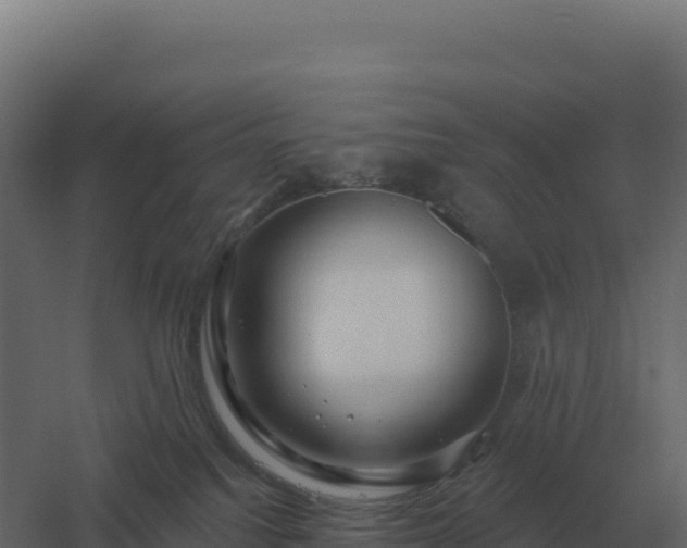 X0000061150088200511241842