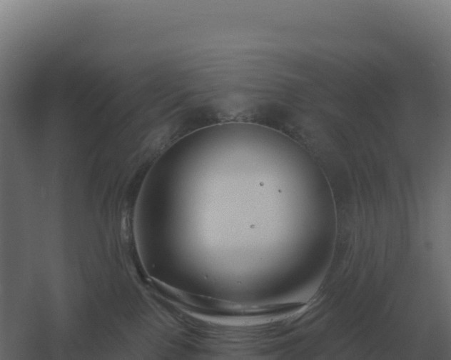 X0000061150090200511241842