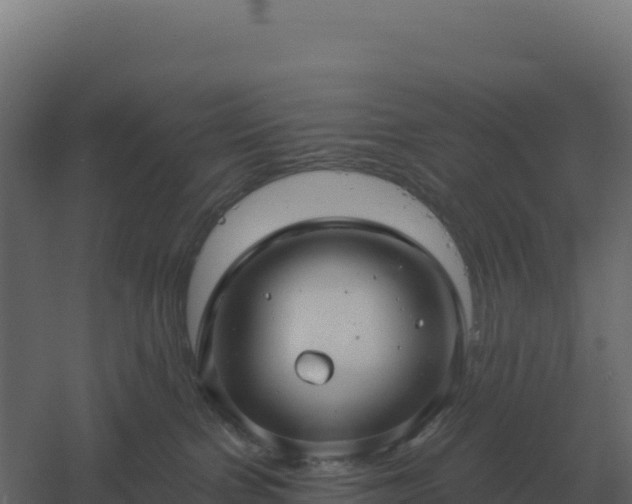 X0000061150091200511241842