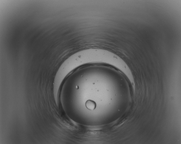 X0000061150092200511241842