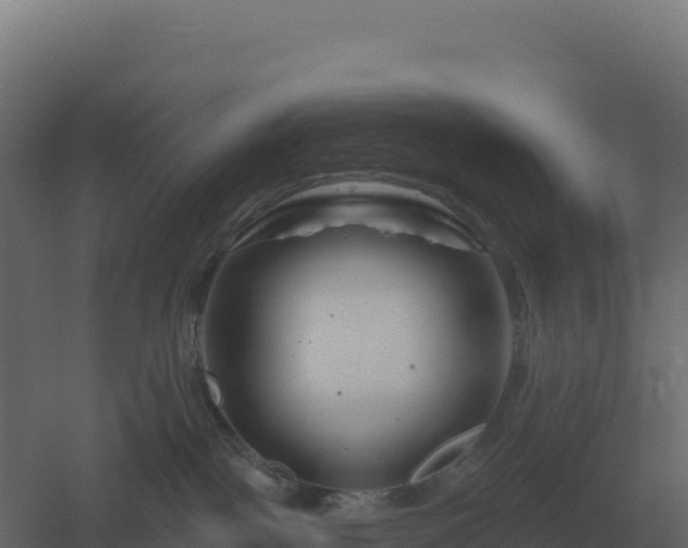 X0000061150093200511241842