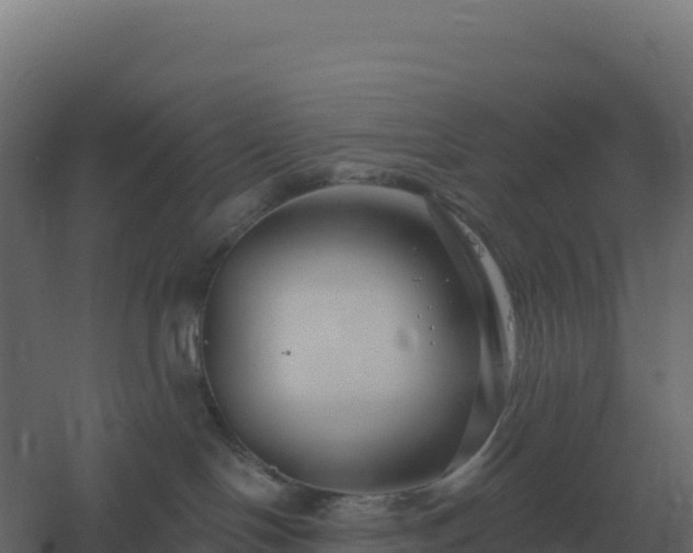 X0000061150094200511241842