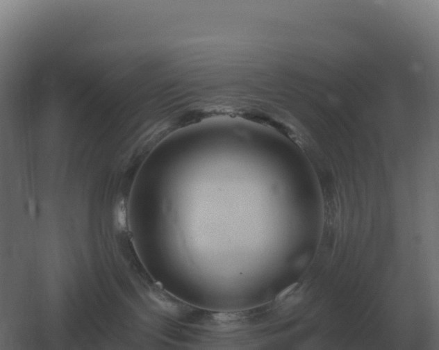 X0000061150095200511241842