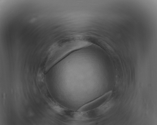 X0000061150096200511241842