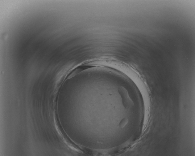 X0000061150097200511241842