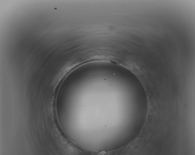 X0000061150098200511241842