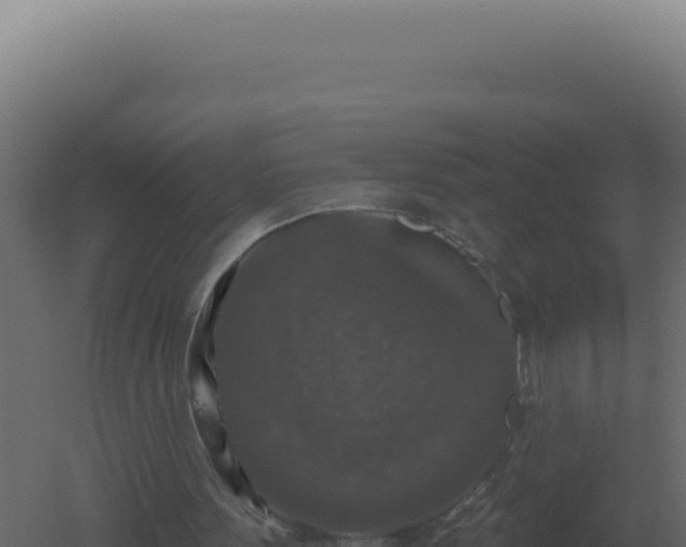 X0000061150099200511241842