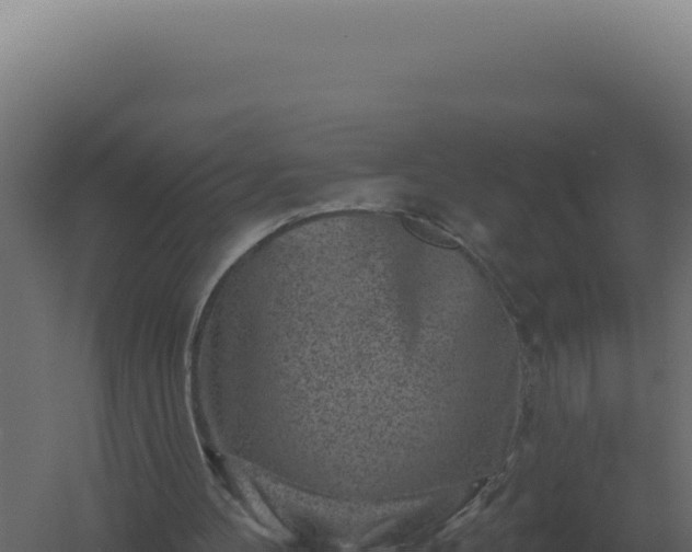 X0000061150100200511241842