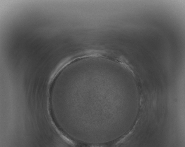 X0000061150101200511241842