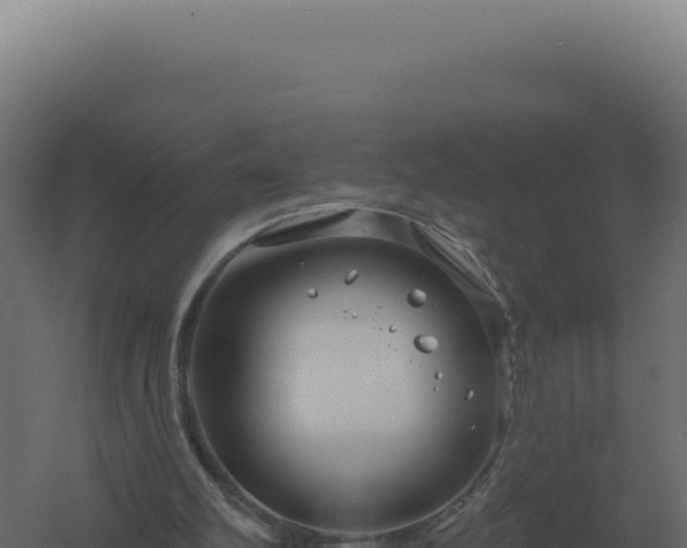 X0000061150102200511241842