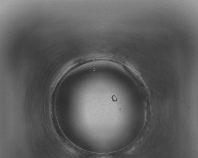 X0000061150103200511241841