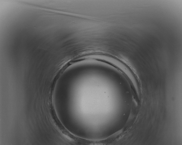 X0000061150105200511241841