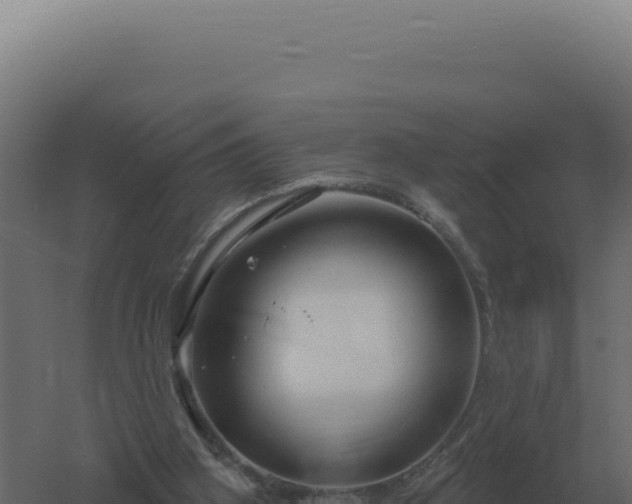 X0000061150106200511241841