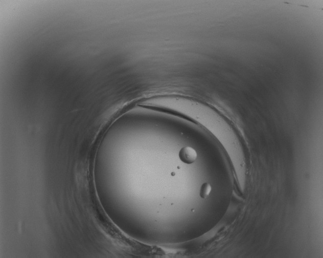 X0000061150107200511241841