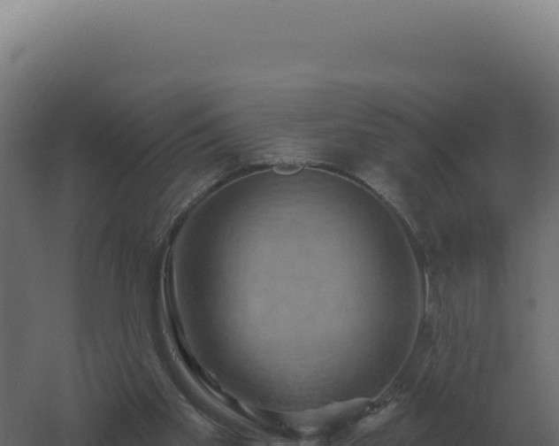 X0000061150109200511241841