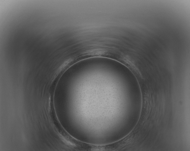 X0000061150110200511241841